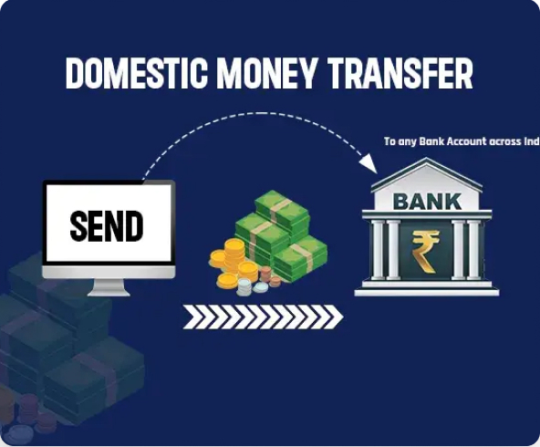 Domestic Money Transfer Highlights